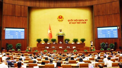 ข้อเสนอไม่เลือกประธานและรองประธานสภาประชาชนและคณะกรรมการประชาชนขณะดำเนินการจัดทำอุปกรณ์