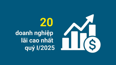 [Infographic] 20 doanh nghiệp có lợi nhuận trước thuế cao nhất trên sàn chứng khoán Việt Nam quý I/2025