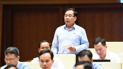 National Assembly Delegate: It is very difficult to regulate 'suggestions' for extra classes in the Law on Teachers