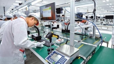 Global Group Puts Vietnam Into Business Plan