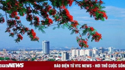 Hải Phòng dẫn đầu cả nước về năng lực cạnh tranh, cải cách hành chính cấp tỉnh