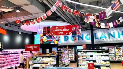 Lễ hội bò Canada 2025: Cơ hội vàng để chọn bò nhập khẩu ngon, giá hợp lý