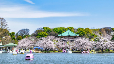 Explore Ueno Park – Green space in the heart of bustling Tokyo