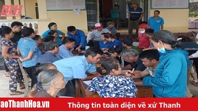 ឧបករណ៍ប្រើប្រាស់គំរូ "3 no" នៅ Thuong Xuan