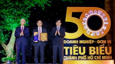 生活価値を創造して30年 - Vietravelがホーチミン市の代表的な企業50社の表彰式で表彰されました