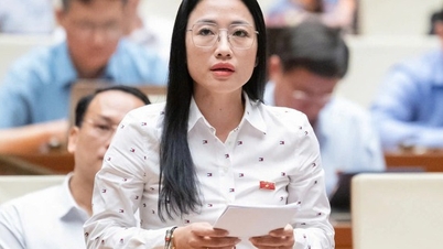 Đại biểu Trần Khánh Thu: Giáo viên dạy thêm không có gì sai trái