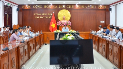 ប្រធានគណៈកម្មាធិការប្រជាជនខេត្ត Tran Van Lau ធ្វើការជាមួយក្រុមប្រឹក្សាគ្រប់គ្រងសួនឧស្សាហកម្មខេត្ត