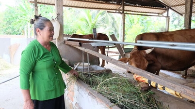 Vượt khó, làm giàu trên mảnh đất quê hương