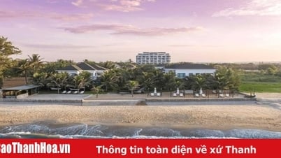 Review Pandanus Resort Mũi Né “Làng Chài” giữa thành phố biển