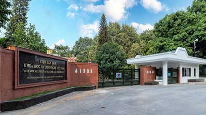Giải thưởng Trần Đại Nghĩa năm 2025 trao tặng nhóm tác giả có công trình nghiên cứu khoa học xuất sắc