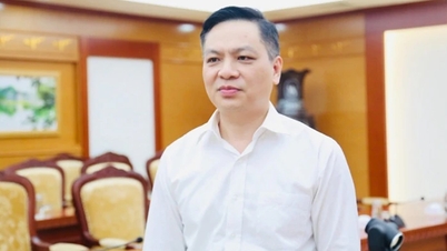 Tiếp tục miễn thuế sử dụng đất nông nghiệp: “Đổi thu lấy lợi ích” cho phát triển bền vững