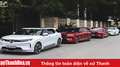 Green Future - Dịch vụ cho thuê xe ô tô điện uy tín