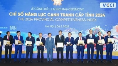 Những 'nhân tố mới' trong Báo cáo PCI 2024