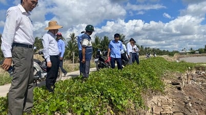 Khảo sát tình trạng khẩn cấp tuyến đê bao Tả, Hữu Cù Lao Dung
