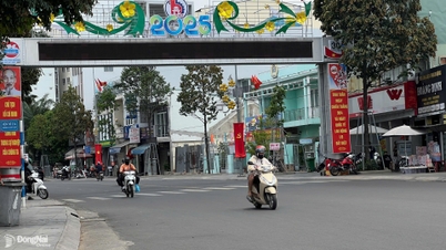 Thời tiết chuyển mùa, đề phòng khả năng có lốc, sét, mưa đá và gió giật mạnh kèm theo những cơn mưa dông tại Đồng Nai