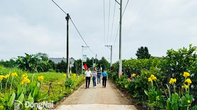 Nhiều địa phương đạt kết quả cao về nông thôn mới nâng cao