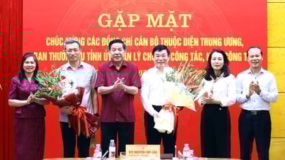 Bac Giang : Rencontre avec les responsables centraux, le Comité permanent du Comité provincial du Parti gère les transferts et les démissions