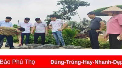 Tận dụng lợi thế địa phương để phát triển mô hình nuôi dúi