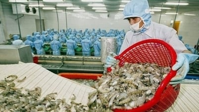Việt Nam vừa thu 3,3 tỷ USD từ thủy sản