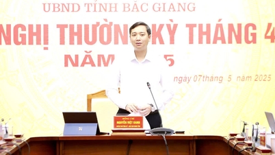 Bắc Giang: Tập trung tháo gỡ khó khăn trong sản xuất, kinh doanh, hoàn thành các mục tiêu của cả nhiệm kỳ