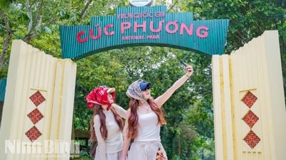Испытайте невероятно «холодный» сезон бабочек в Кук-Фыонг