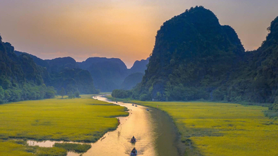 Tam Coc Tourismus in der Reissaison - Ein wunderschönes Naturbild im Herzen von Ninh Binh