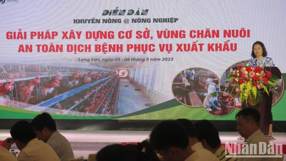 Giải pháp xây dựng vùng chăn nuôi an toàn dịch bệnh phục vụ xuất khẩu