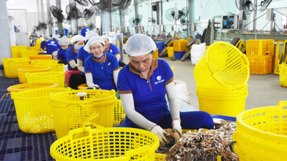 Phát triển kinh tế tư nhân hiệu quả, chất lượng cao
