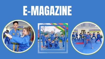 Vovinam und 15-jährige Reise im Land des Stahls