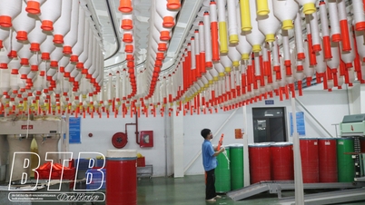 Thai Binh se encuentra entre las 30 provincias y ciudades con mejor calidad de gobernanza en 2024.