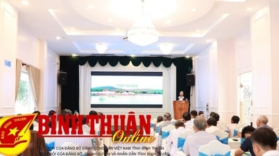 Phát triển Hợp tác xã gắn với du lịch cộng đồng, du lịch học đường