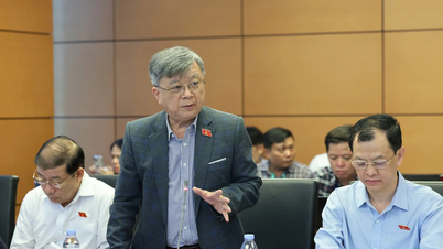 Băn khoăn bỏ quy định đại biểu HĐND không được chất vấn chánh án, viện trưởng