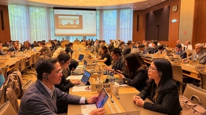 Phái đoàn Việt Nam tại Geneva tham dự phiên họp của 3 Uỷ ban về Phòng vệ thương mại WTO