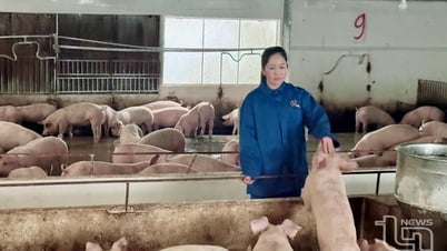 Tấm gương vượt khó làm giàu ở Na Bán