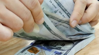 អត្រាប្តូរប្រាក់ VND/USD មានស្ថេរភាពនៅក្នុងទីផ្សារសេរី