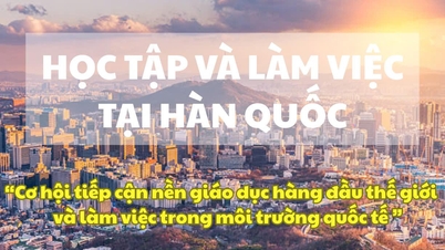 Sao Vang Cuu Long: Studying and working in Korea – A “hot” topic of interest to students in Bac Lieu province!