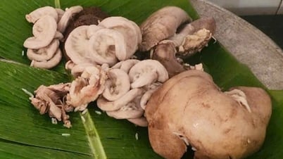 TPHCM đang kiểm tra các quán lòng xe điếu