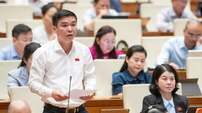 ĐBQH Bắc Kạn đề nghị có thêm chính sách ưu tiên cho phụ nữ trong dự thảo Luật Việc làm (sửa đổi)