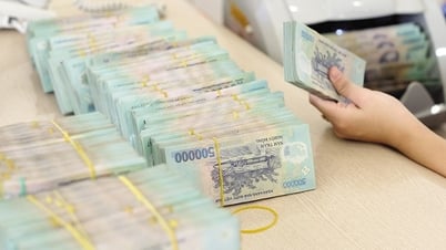 New regulations on issuance of domestic deposit certificates by foreign credit institutions