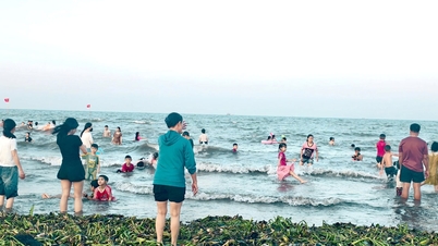 Cần xử lý triệt để tình trạng bèo tây, rác thải ở bãi biển Diễn Thành