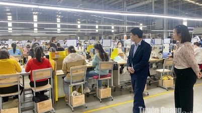 Áp lực thuế quan Mỹ: Từ thách thức đến cơ hội