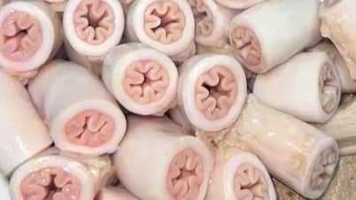 파이프의 심장에 대한 논란이 온라인에서 뜨겁게 달아올랐고, 식당 손님들은 "더 이상 먹을 수 없어!"라고 걱정하고 있다.