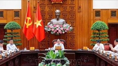 Thủ tướng: Khẩn trương đưa Nghị quyết về phát triển kinh tế tư nhân vào cuộc sống