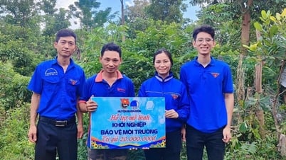 Hỗ trợ 53 thanh niên vay vốn từ Quỹ Khởi nghiệp để phát triển kinh tế