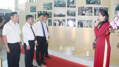 Sức hút của những cuộc triển lãm
