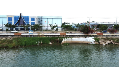 Đồng Tháp: Khắc phục sự cố sạt lở kè Thường Thới Tiền
