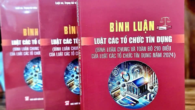 The book helps to understand more deeply about the Law on Credit Institutions.