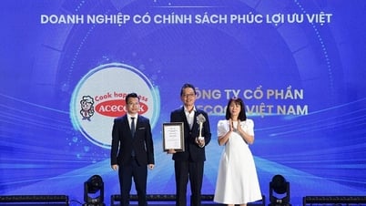 Acecook Việt Nam được vinh danh tại VietNam ESG AWARDS 2024 với chính sách phúc lợi ưu việt