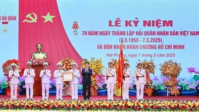 President: Navy needs to promote tradition of mastering the sea, determined to fight, determined to win