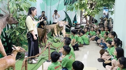 "Studio học thuật mở" giữa thành phố Huế